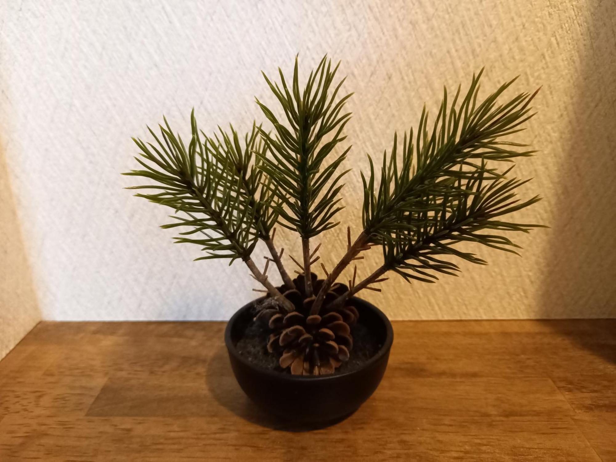 Hakuba Powder Lodge Taketombo מראה חיצוני תמונה