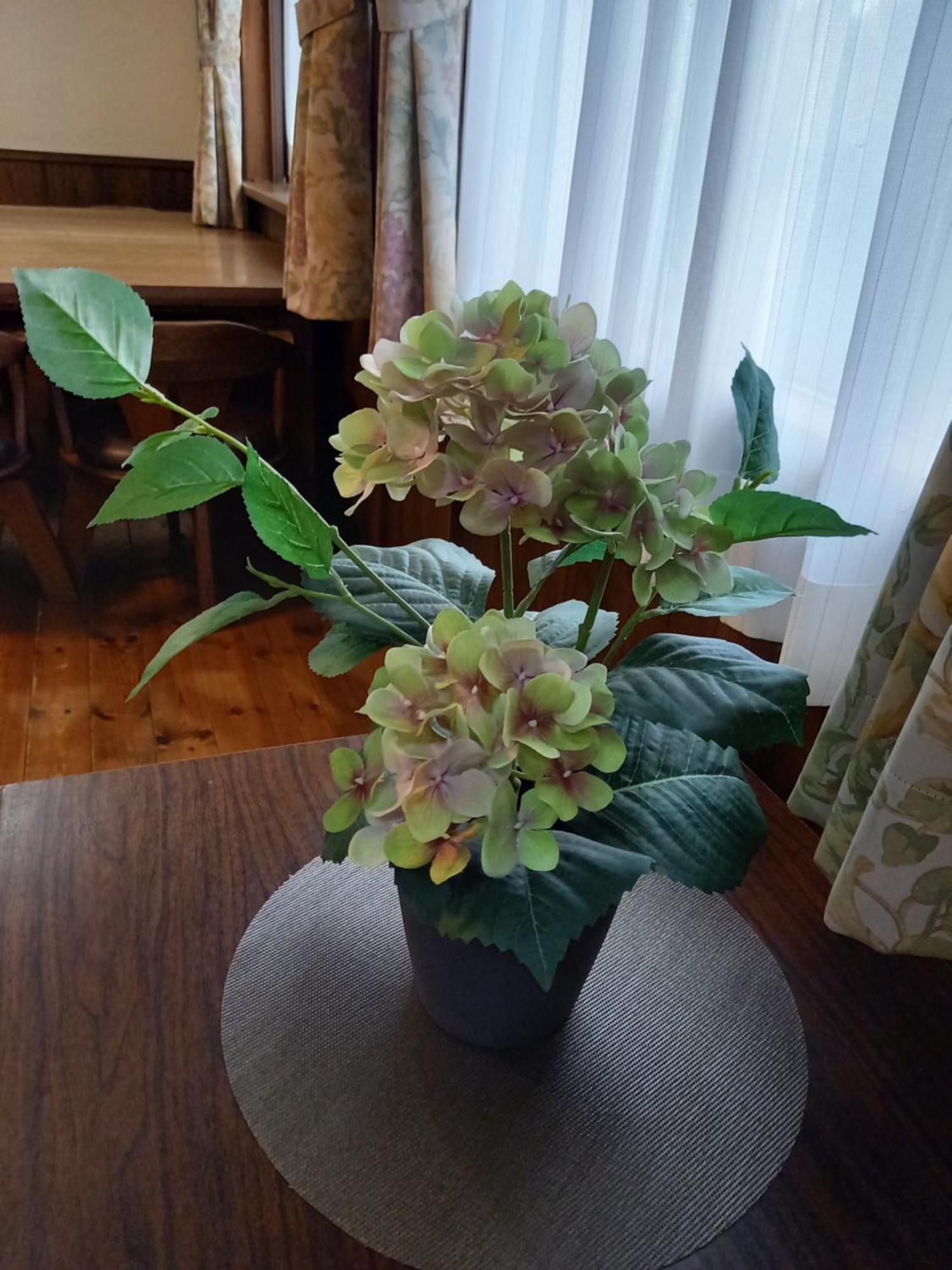 Hakuba Powder Lodge Taketombo מראה חיצוני תמונה